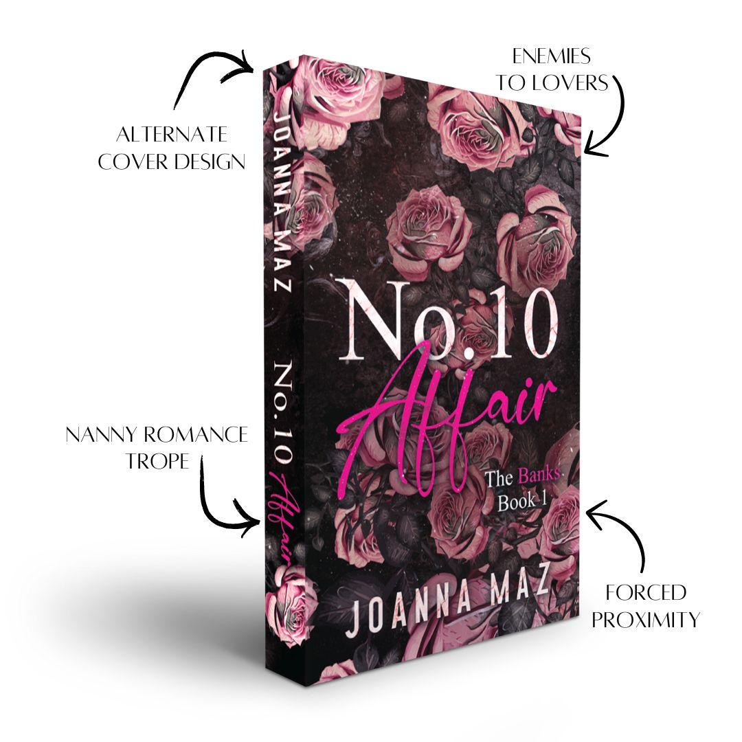 Number 10 Affair - paperback (alternate cover edition) by Joanna Maz